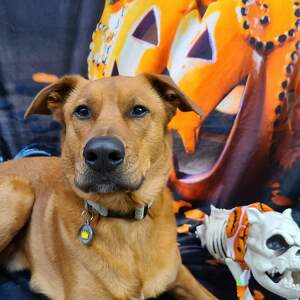 Fundraising Page: Wayne Bretzky